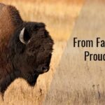 Canadian Rangeland Bison & Elk Inc
