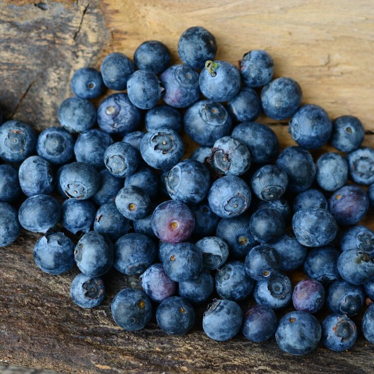 BC Blueberry Council