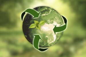RDW Recycling & Bin Rentals
